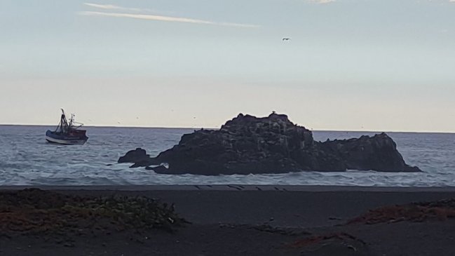 En Cobquecura reportan presencia de barcos pesqueros cerca del Santuario Natural La Lobería