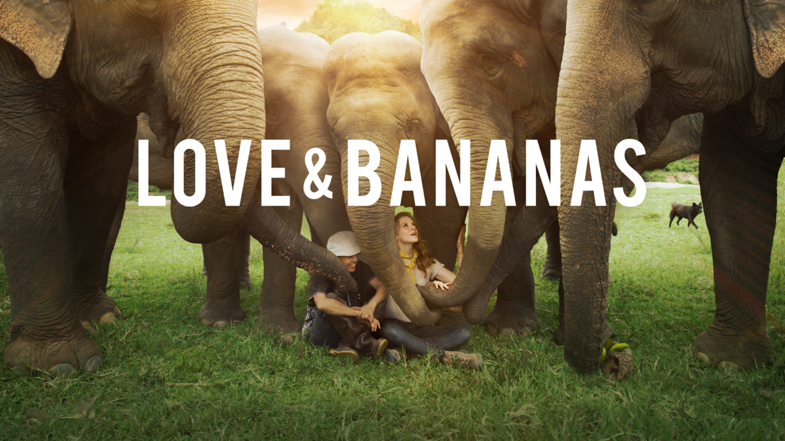 Imagen foto_00000004