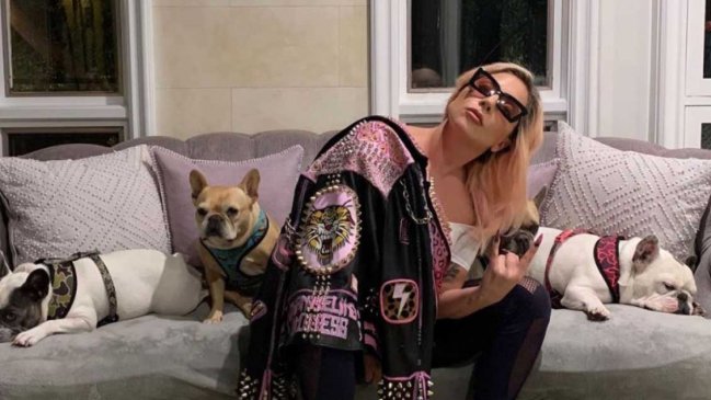 Arrestan a cinco personas por intento de asesinato a paseador del perros de Lady Gaga