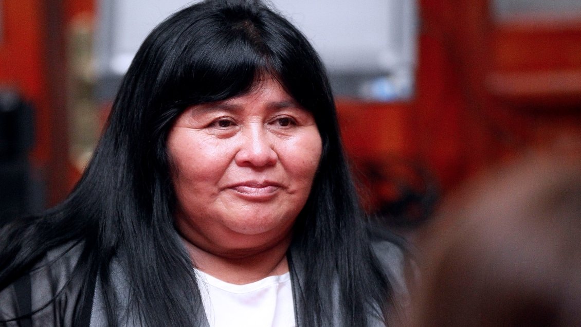 Diputada Nuyado pidió investigar presencia de equipos 