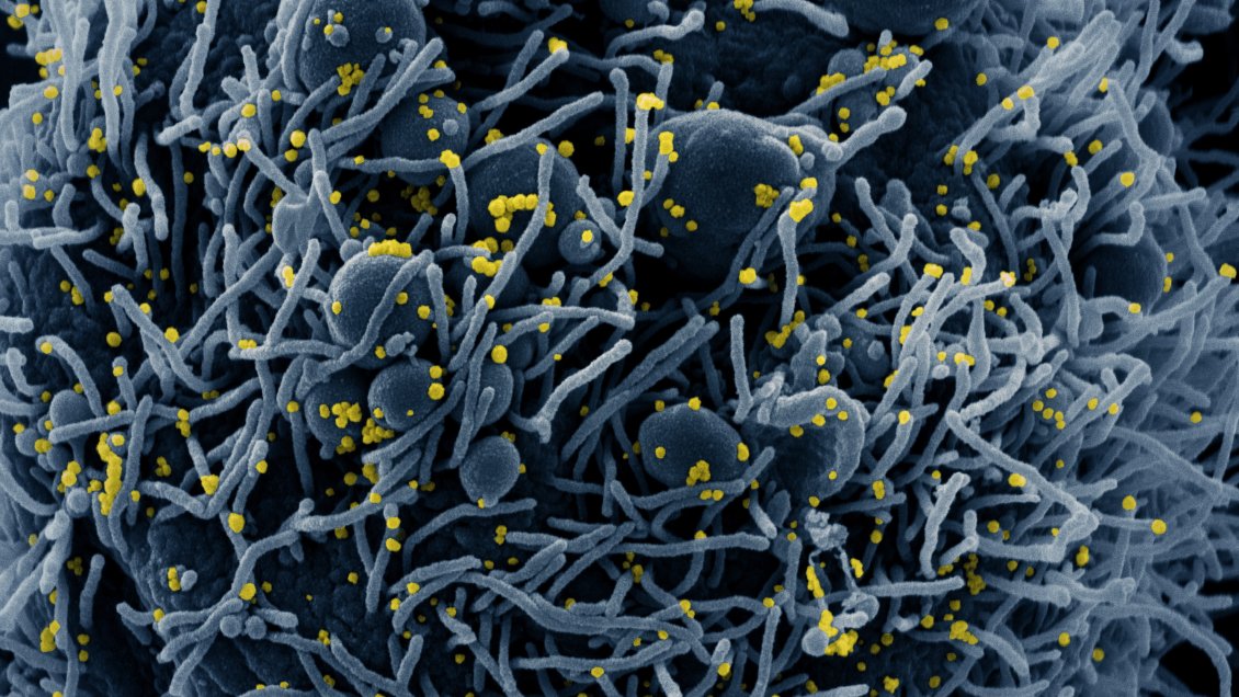 La OMS y Alemania crean un centro para combatir futuras pandemias