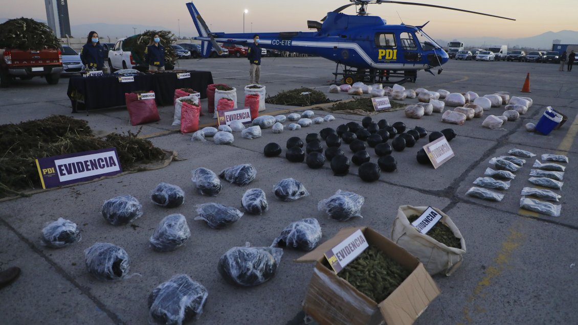 PDI pone fin al Plan Cannabis 2021: Incautaciones de marihuana subieron 236%
