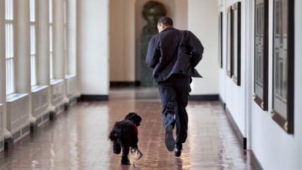   Los Obama despidieron en redes a Bo, el perro que los acompañó en la Casa Blanca 