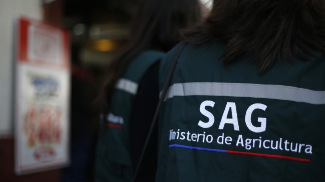 Un zorro, un tiuque y 13 perros murieron por consumir 