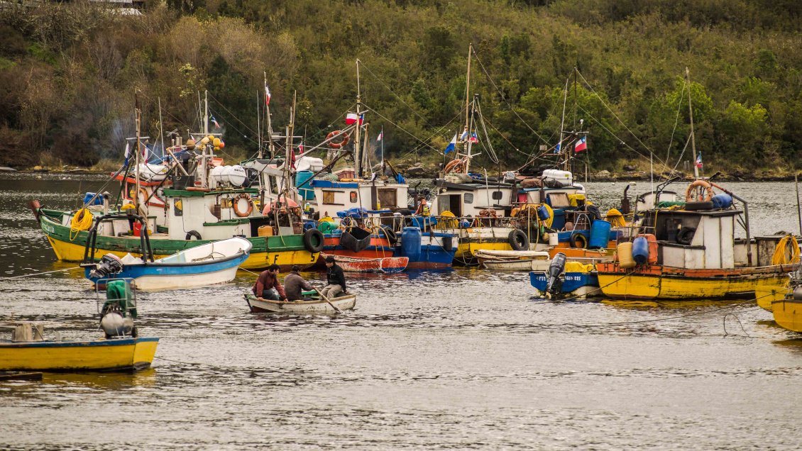Ingreso de pescadores de Los Lagos a litoral de Aysén genera rechazo de pescadores locales