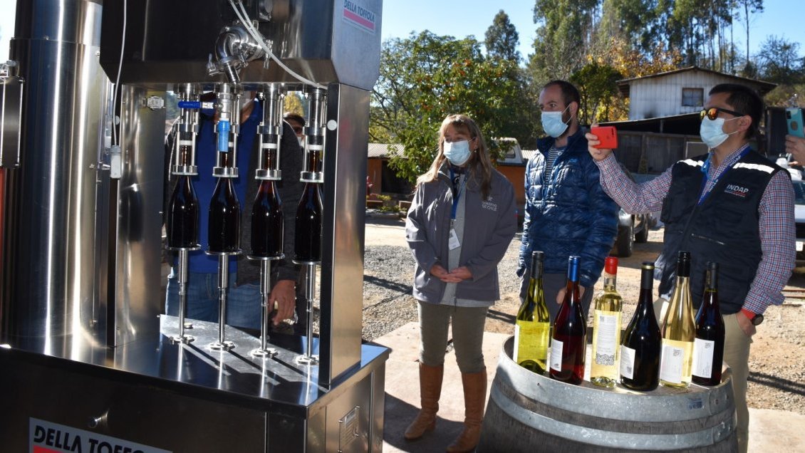 Viticultores de Coelemu quintuplicaron producción tras adquisición de 