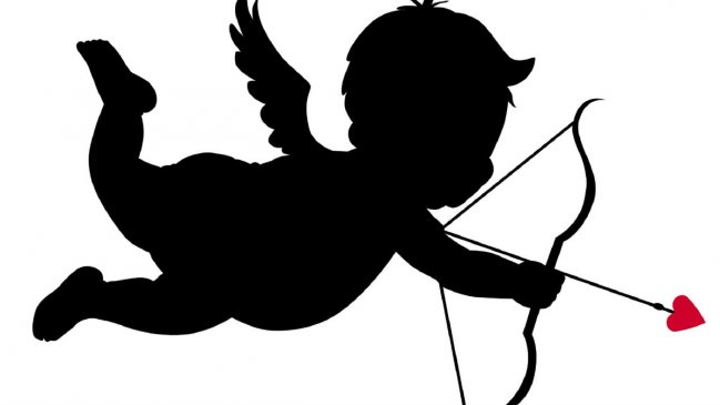 Cupido quedó con tarea para este domingo: Apoderada flechó y busca una cita con encargado electoral