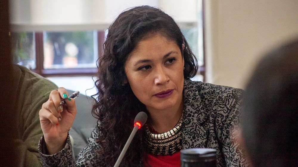 Rostros jóvenes integrarán el nuevo Concejo Municipal de Punta Arenas