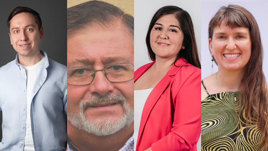 Los objetivos de los constituyentes electos en las provincias de Biobío y Arauco