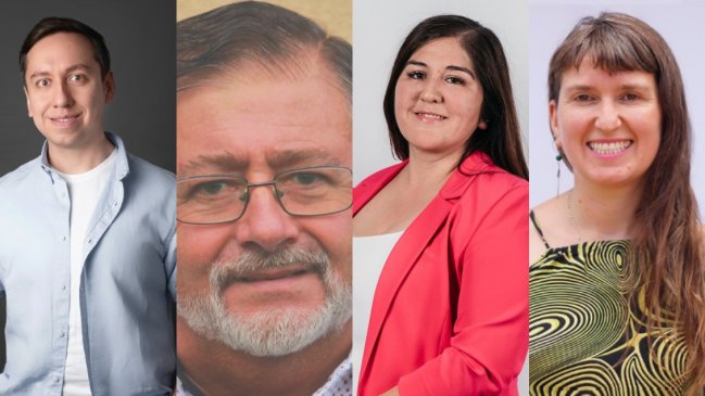 Los objetivos de los constituyentes electos en las provincias de Biobío y Arauco