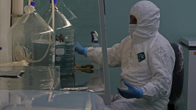 Suero de plasma de burros, la nueva apuesta de Bolivia contra el Covid-19