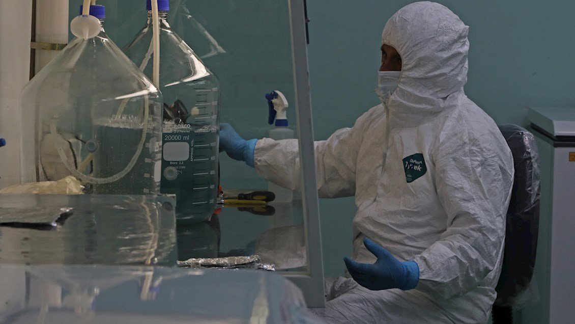 Suero de plasma de burros, la nueva apuesta de Bolivia contra el Covid-19