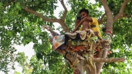   Joven vivió durante 11 días en árbol para no contagiar a su familia de Covid-19 