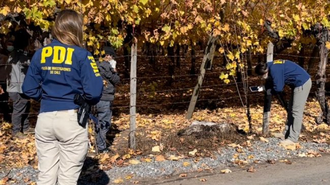 PDI indaga presunto envenenamiento masivo de perros en Nancagua