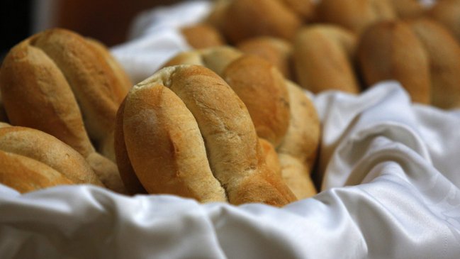 Cámara Baja solicita formalmente al Gobierno que 