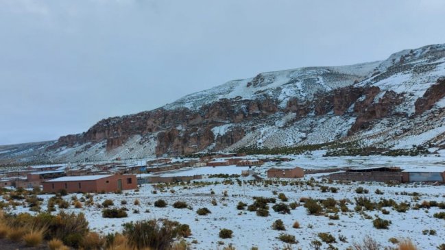 Precipitaciones y caída de nieve mantienen suspendida ruta Huara-Colchane