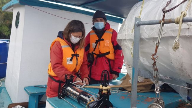  Innovación para el monitoreo de cetaceos en Puyuhuapi  