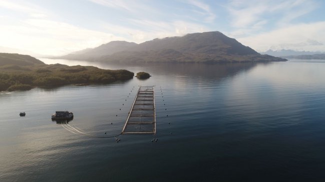 Consejo Regional de Aysén rechazó financiar programa de apoyo para sector acuícola