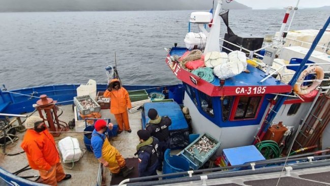 Decomisan tres toneladas de merluza extraídas ilegalmente en el litoral de Aysén