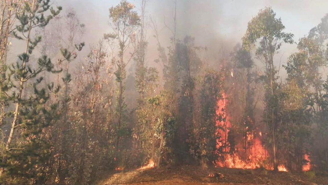 Detienen a sospechoso de provocar incendio forestal que tiene a Valparaíso bajo alerta roja