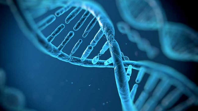  Científicos lograron la primera secuencia completa de un genoma humano  
