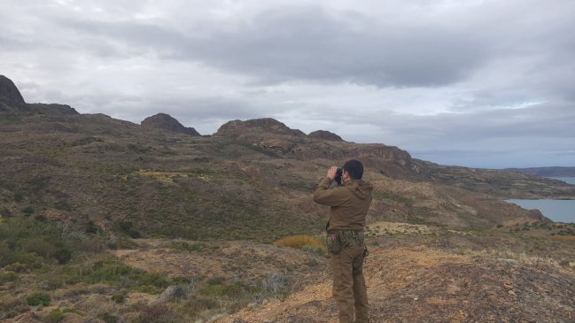 En libertad quedaron dos detenidos por cazar y faenar un guanaco en Puerto Ibáñez