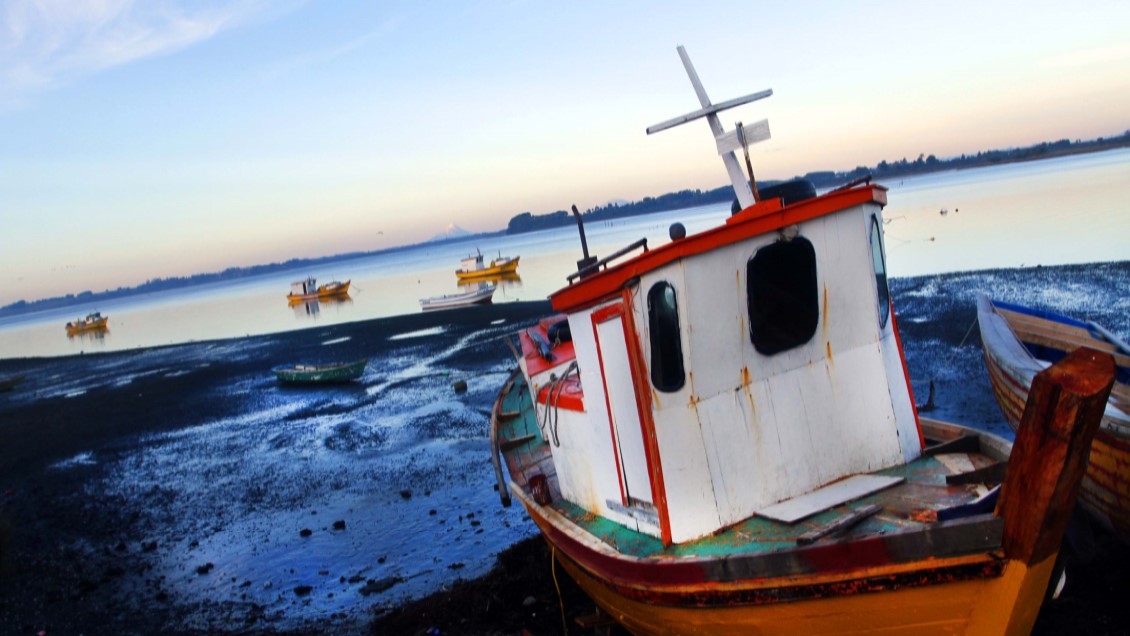 Funcionarios de Indespa Biobío llevan cinco meses trabajando 