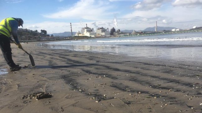 Corte de Apelaciones ordena suspender ingreso de naves con carbón a la bahía de Quintero