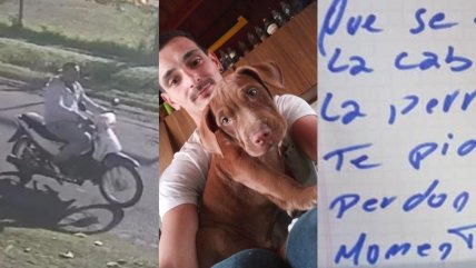  Ladrón robó perrita, se arrepintió y la devolvió  