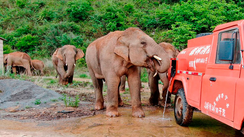 Imagen foto_00000003