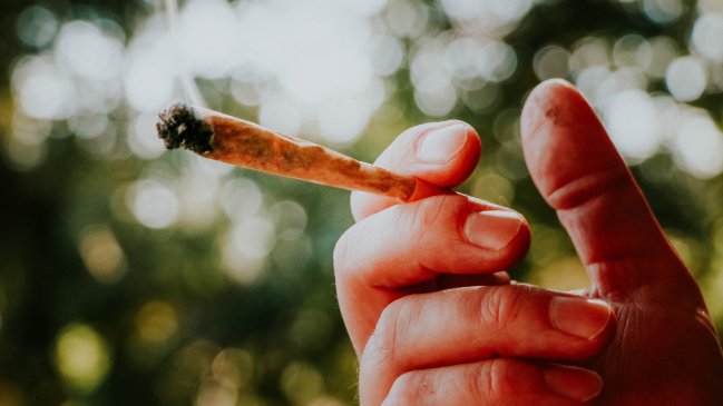 Porros gratis: Washington regalará marihuana a quienes se vacunen contra el Covid-19