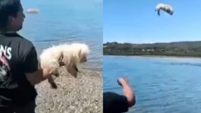 Tarado que lanzó a un poodle al mar quedó libre, pero con prohibición de acercársele
