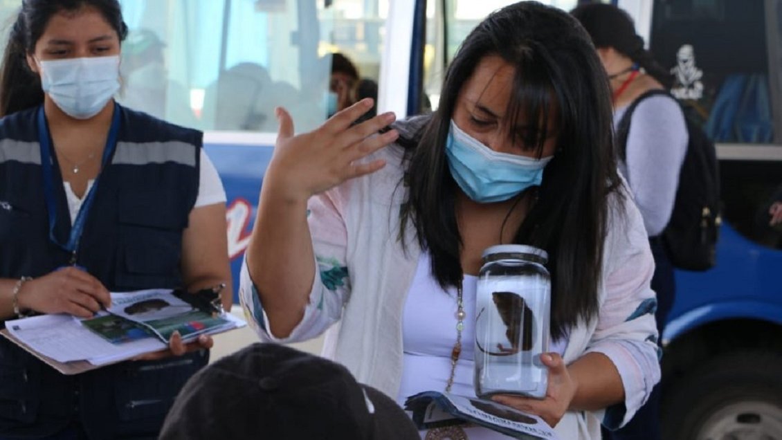 Autoridades confirmaron segundo caso de hantavirus en La Araucanía