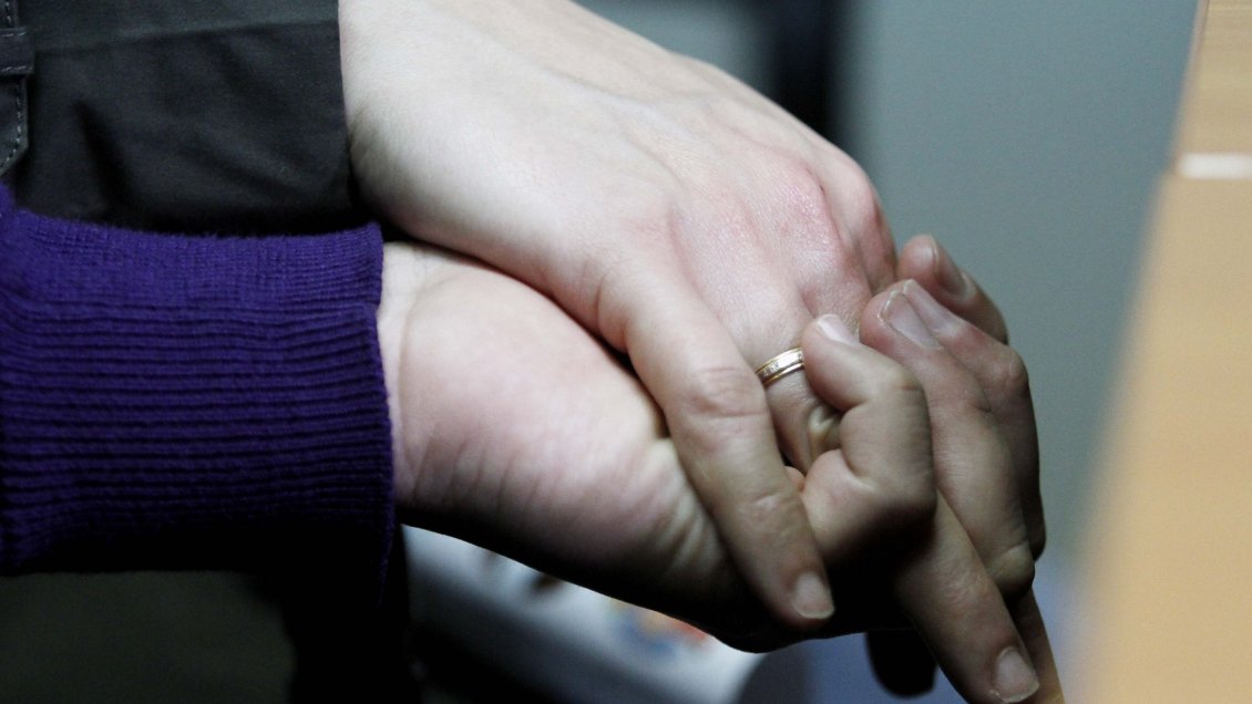 Senadores reactivan tramitación del matrimonio igualitario en Comisión de Constitución