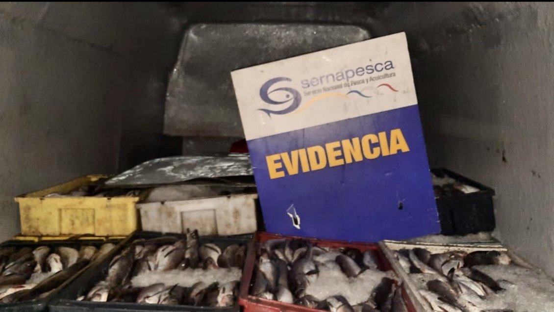 Sernapesca incautó más de 6,5 toneladas de recursos pesqueros en O’Higgins