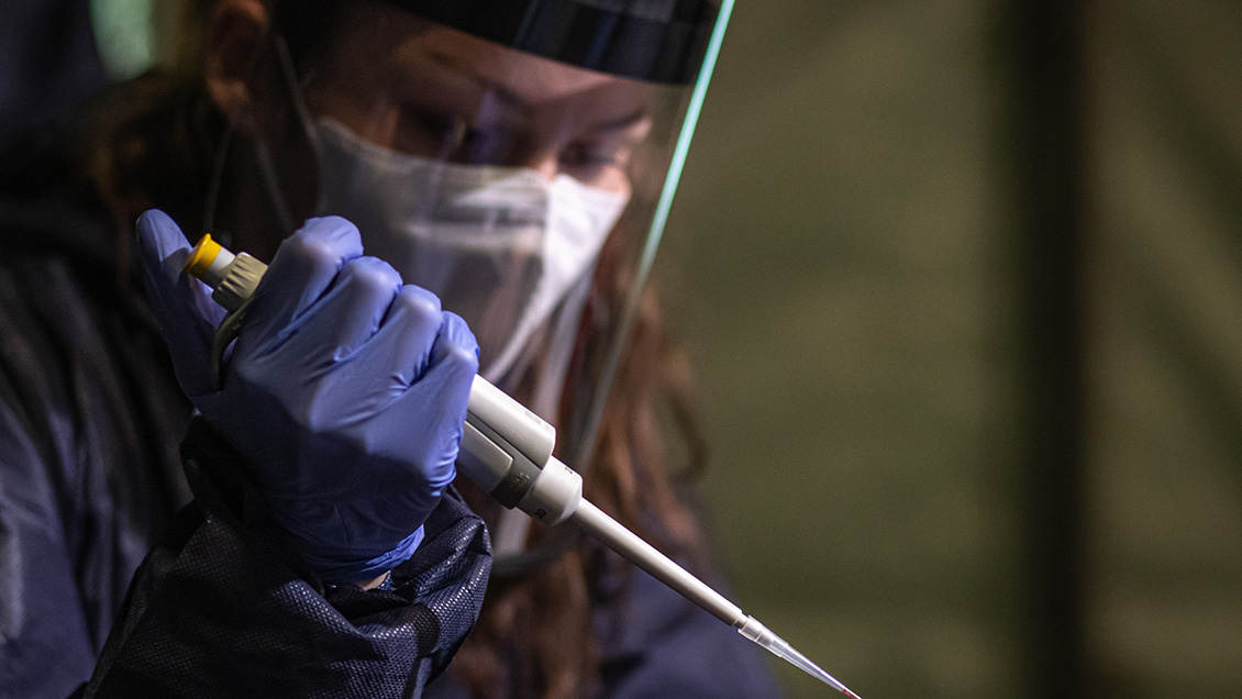 Fármacos para facilitar respuesta celular: Descubren nueva forma para combatir efectos del Covid-19