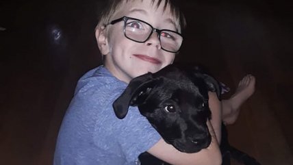   Niño de ocho años vendió su colección de cartas Pokemon para salvar a su perrito enfermo 