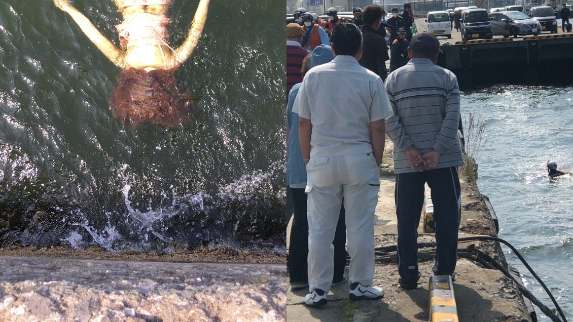 Cuerpo flotando en el mar provocó intenso operativo de rescate: Era una muñeca inflable