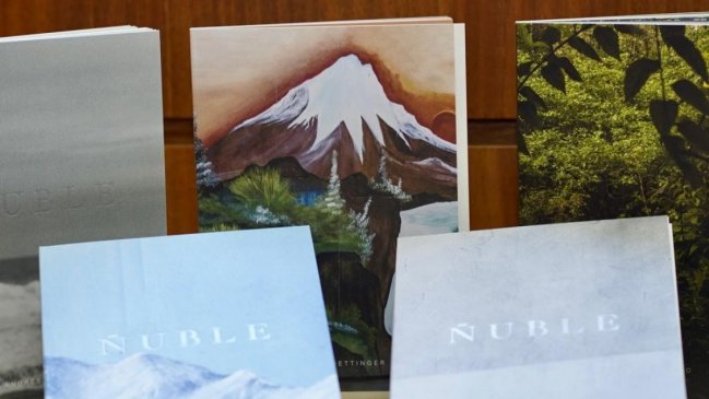 Lanzan fotolibro que rescata identidad visual de la Región de Ñuble