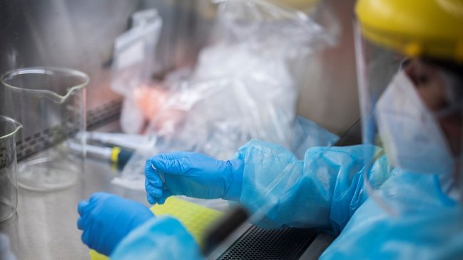 Biobío es pionero en implementar sistema de detección de variantes Covid-19 en todas las comunas