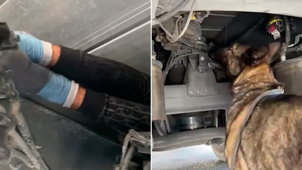  Descubren a migrante escondido en los ejes de un camión  