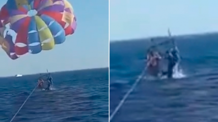   Tiburón salta del agua y muerde a hombre que volaba en paracaídas 