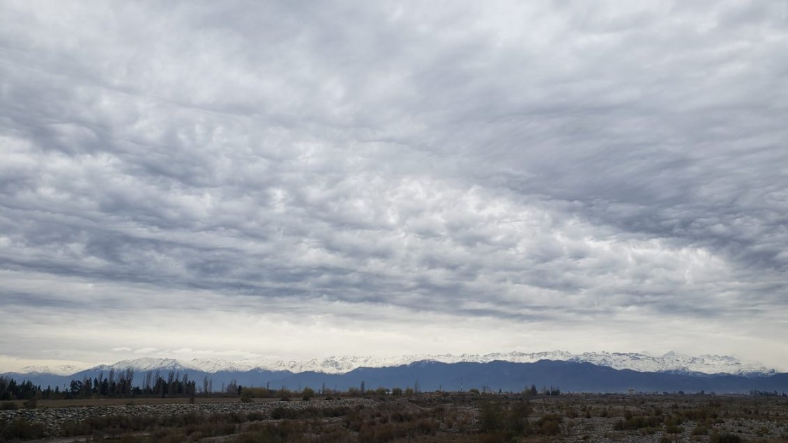 Tras cinco días consecutivos, O'Higgins no registrará alerta ambiental este sábado