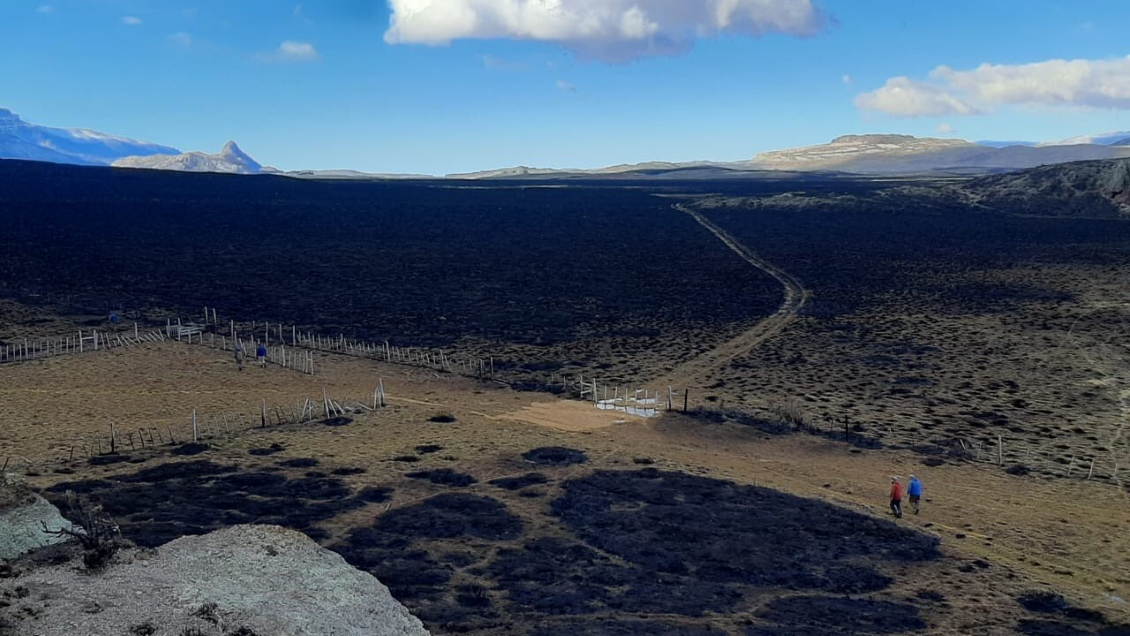 Cochrane: Incendio en Parque Nacional Patagonia fue controlado