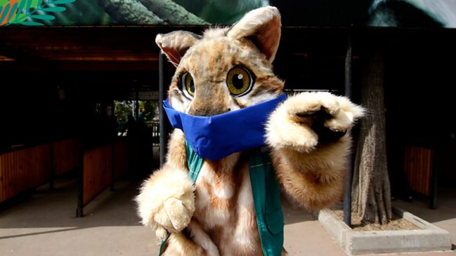   Minvu anunció la reapertura del Zoológico Nacional y el Buin Zoo 