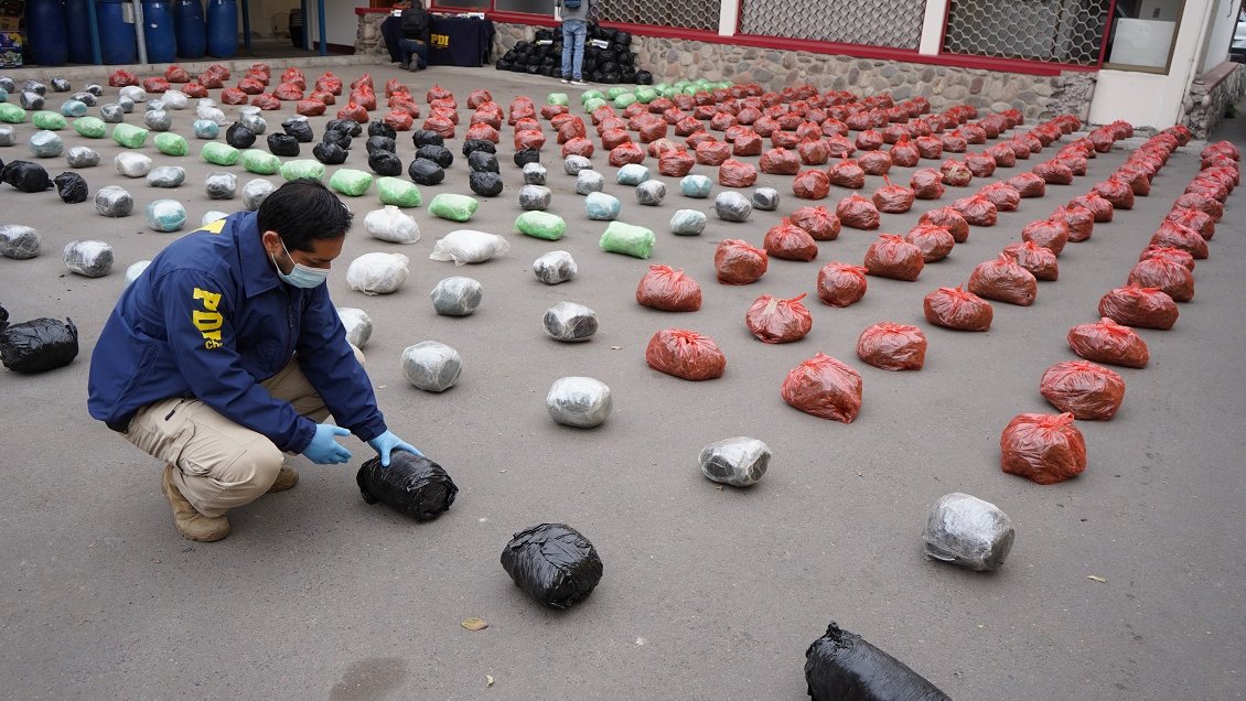 Operativo en Provincia del Limarí permitió incautar 2.200 millones en marihuana