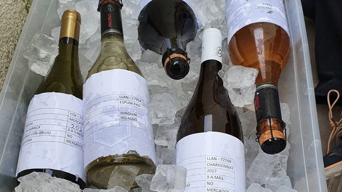 ProChile realizó cata para un centenar de vinos y espumantes potencialmente exportables de Ñuble