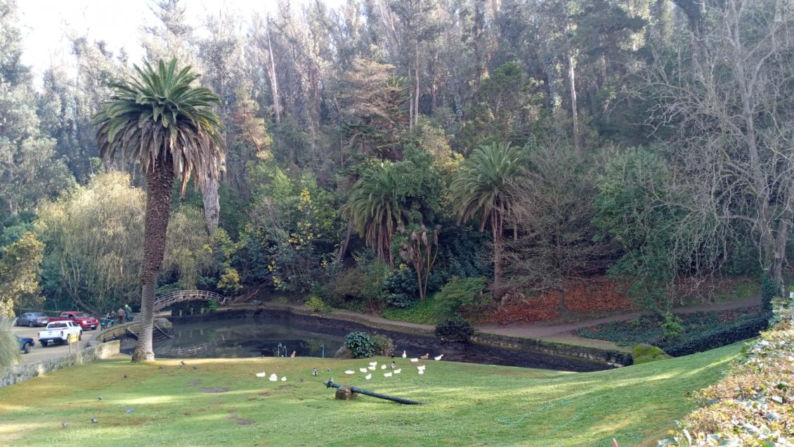 Abren sumario sanitario contra Esval por vertimiento de aguas servidas en Viña del Mar
