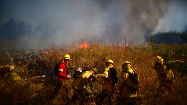 Se declara alerta roja para Rapa Nui por incendio forestal al interior de parque nacional