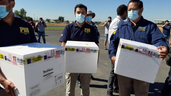 Seremi Salud Maule: La región cumple con los requisitos para acortar toque de queda